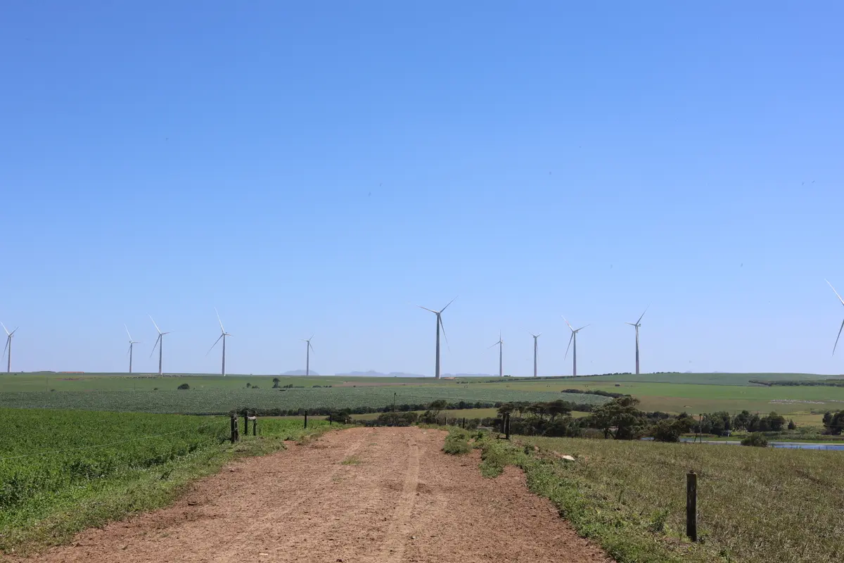 A dirt farm road running between fields toward wind turbines