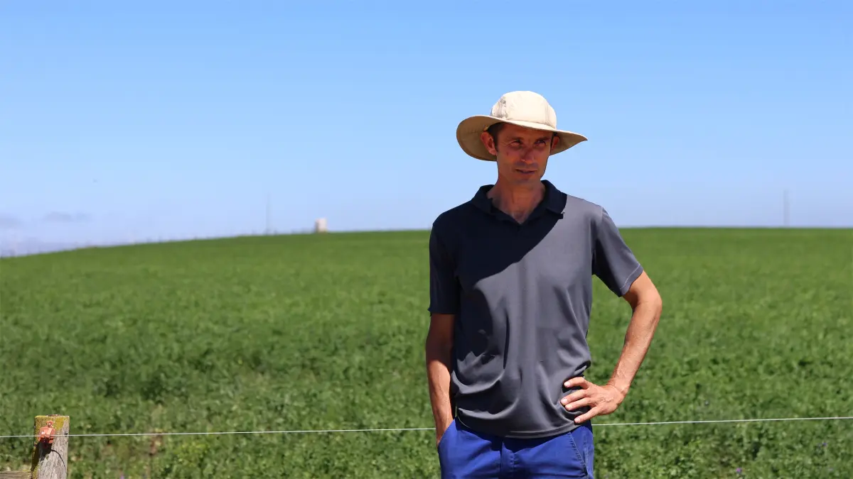 A farm manager standing at the edge of a green field